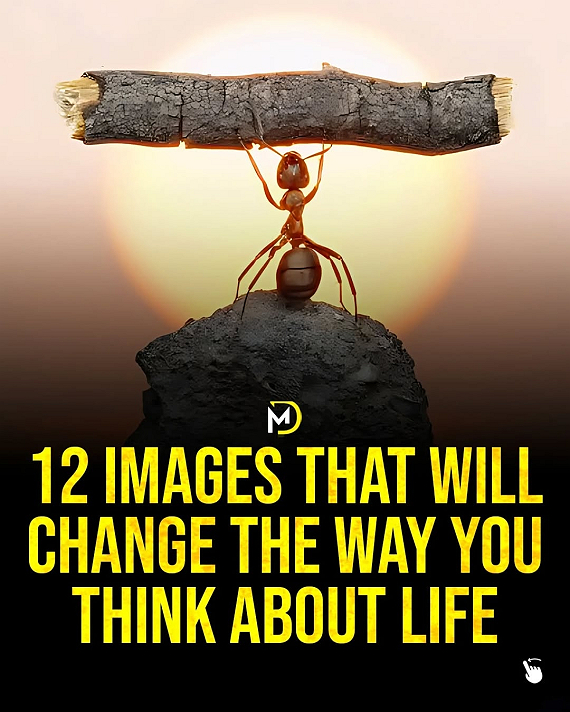 Post:
