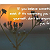 Post: